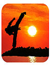 waptrick.com Taekwon Hero